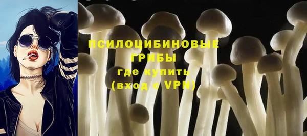 дживик Абинск