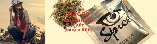 дживик Абинск