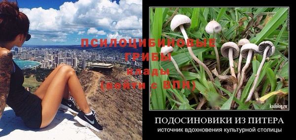 Альфа ПВП Абаза
