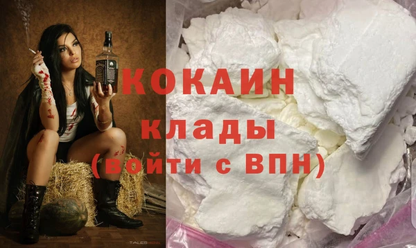 дживик Абинск
