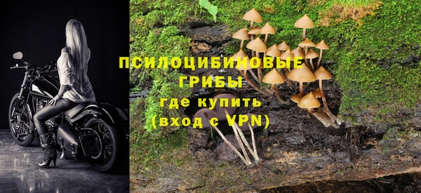 Альфа ПВП Абаза