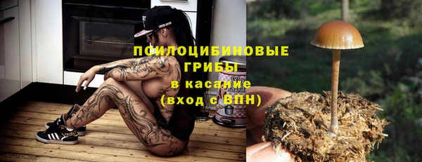 Альфа ПВП Абаза