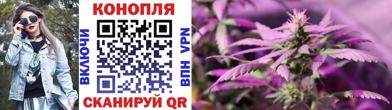 Шишки марихуана сатива  как найти наркотики  Чита 